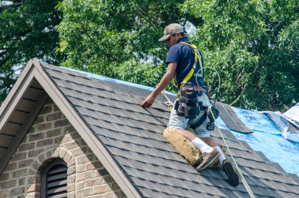 Best Roof Maintenance Services  in Markham, IL